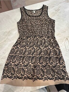 Rodarte for Target Lace Dress XL Black Nude Fit & Flare Romantic
